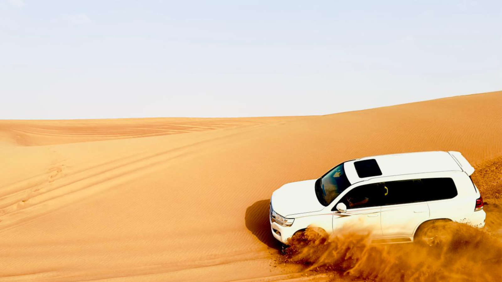 Royal Evening Safari Standard Evening Desert Safari